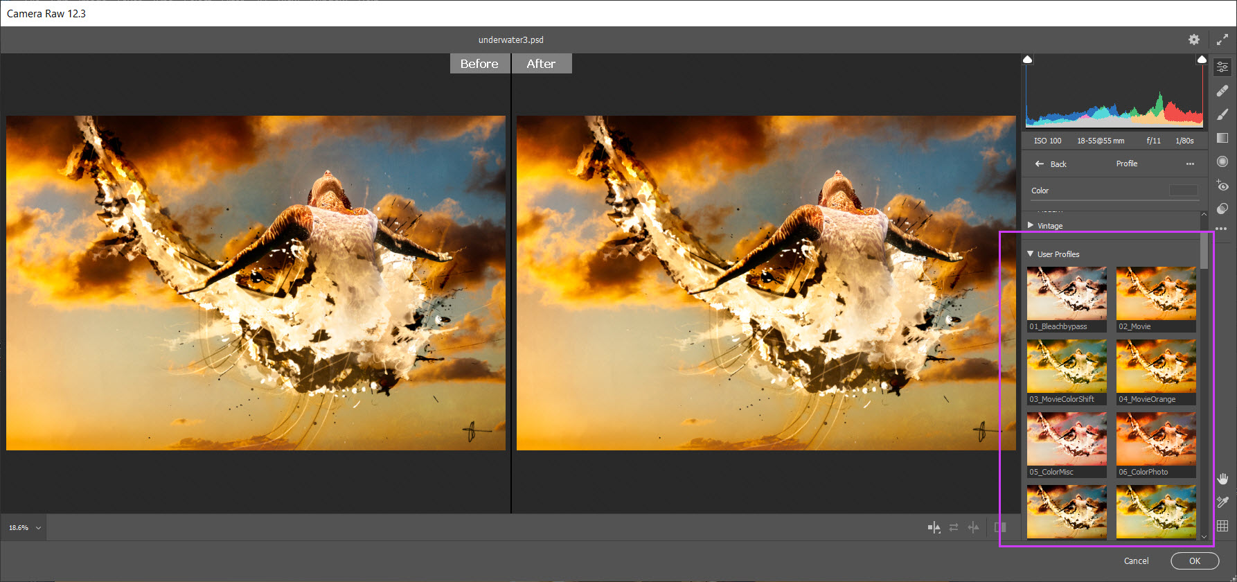 Free Color Profiles Download and Installation Instructions - Plugin Swirl