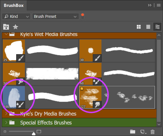 BrushBox plugin stroke preview mode