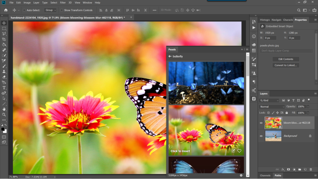 Photoshop plugins for artists - Pexels for stock image serch