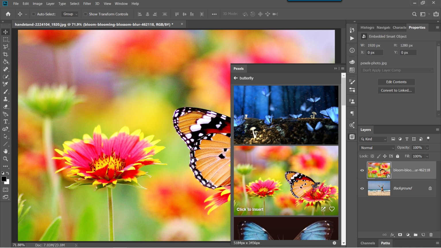 pexels photoshop plugin download