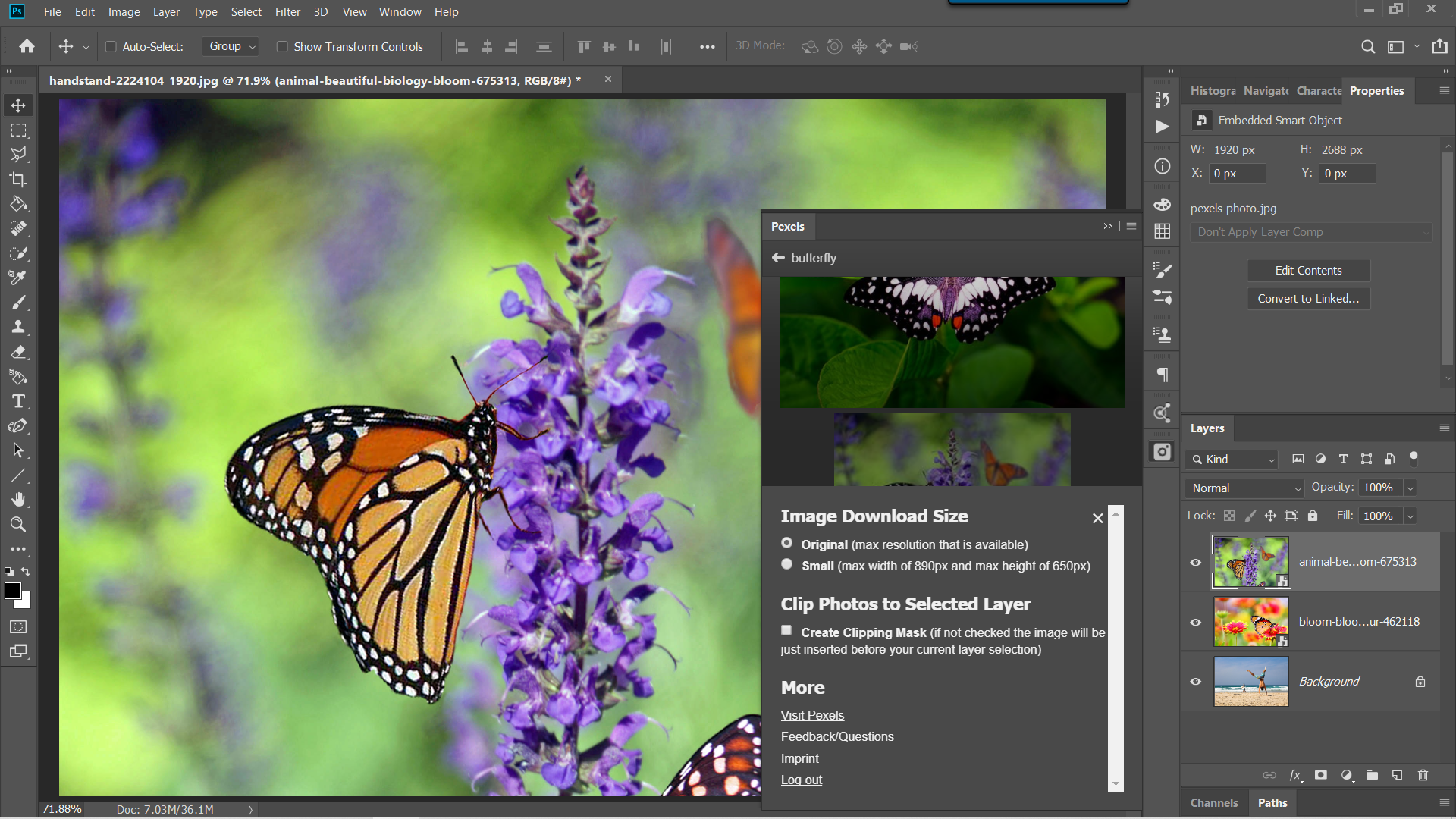 pexels photoshop plugin download