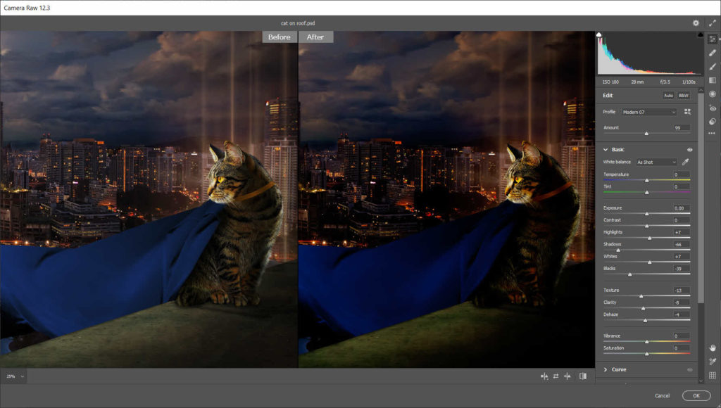 Camera Raw, the best plugin included with Photoshop