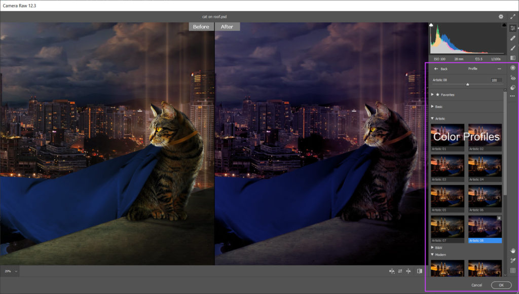 Camera Raw plugin included with Photoshop includes full Color Profiles