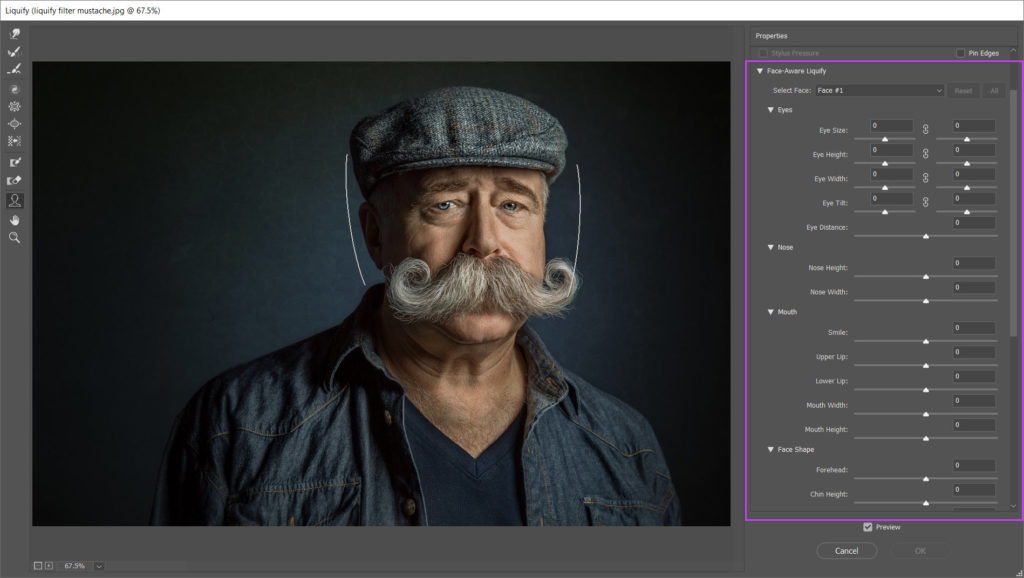 Adobe Photoshop Liquify filter interface with facial recognition